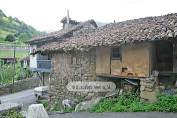 Loredo