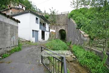 Loredo