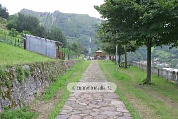Loredo