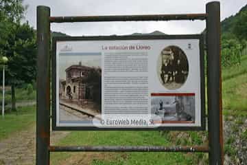 Loredo
