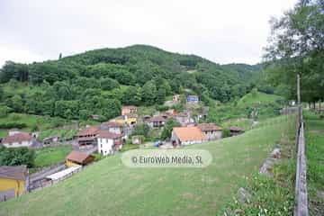 Loredo
