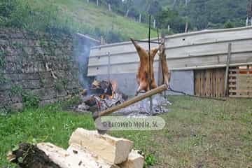 Loredo