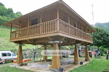 Loredo