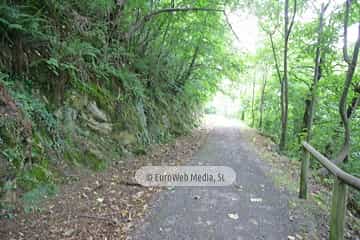 Loredo