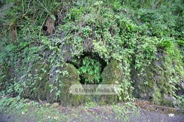 Loredo