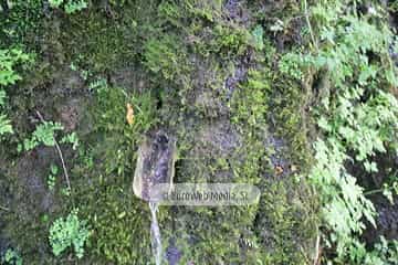 Loredo