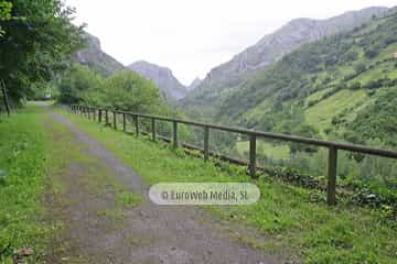 Loredo