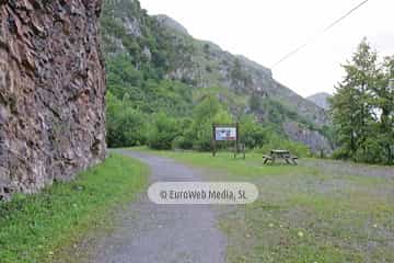 Loredo