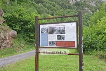 Loredo