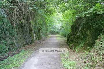 Loredo