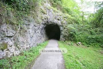 Loredo