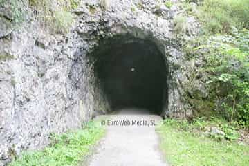 Loredo