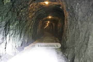 Loredo