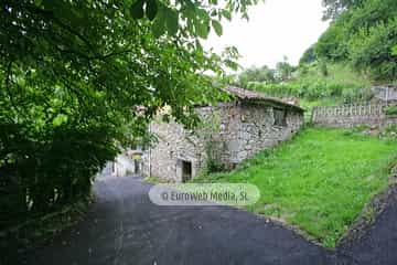Loredo