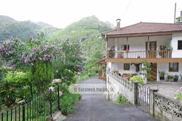 Loredo