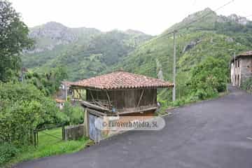 Loredo