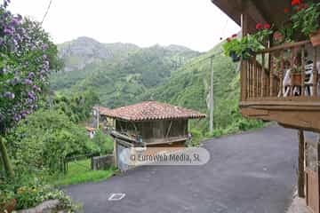 Loredo