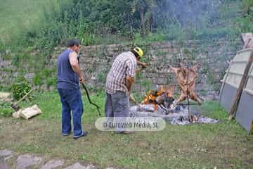 Loredo