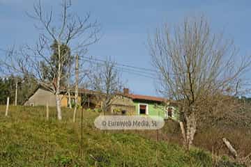 Bargaedo