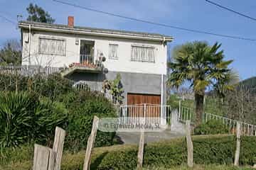 Bargaedo