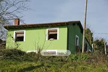 Bargaedo