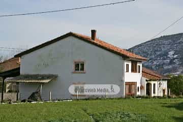 Bargaedo