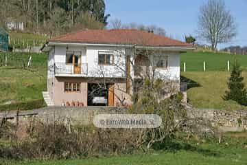Bargaedo