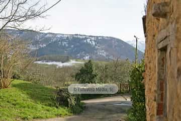 Bargaedo