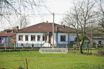 Bargaedo