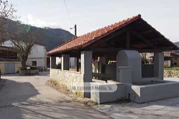 Bueño