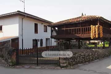 Bueño
