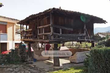 Bueño