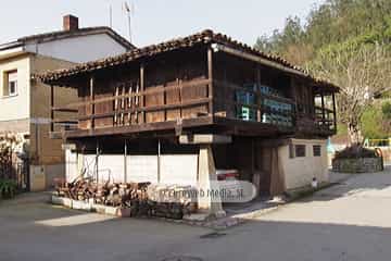 Bueño