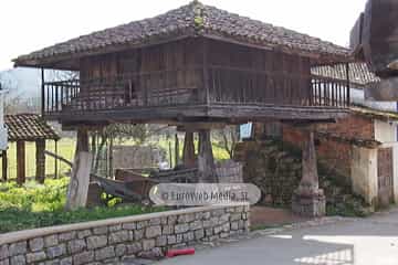 Bueño