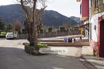 Bueño