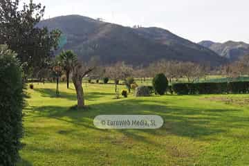 Bueño