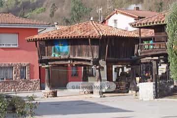 Bueño