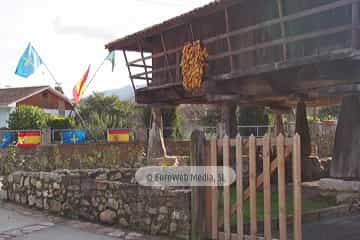 Bueño