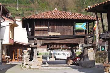 Bueño