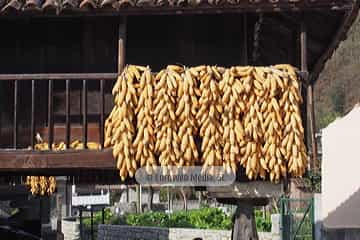 Bueño