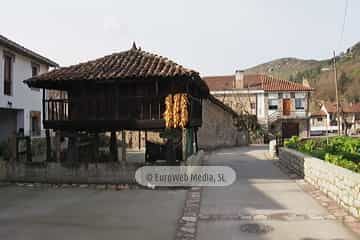 Bueño