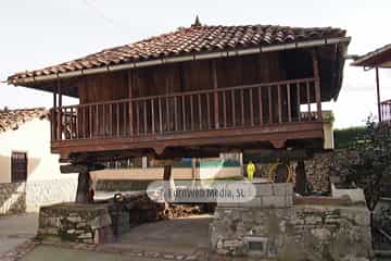 Bueño