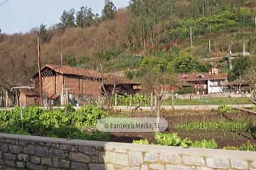 Bueño