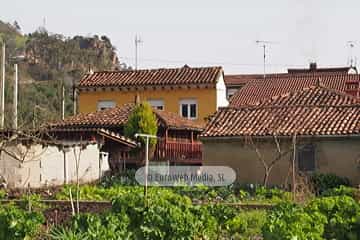 Bueño