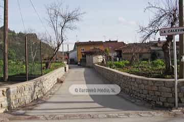 Bueño