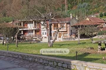 Bueño