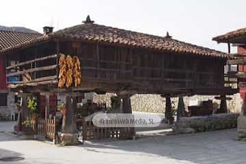 Bueño