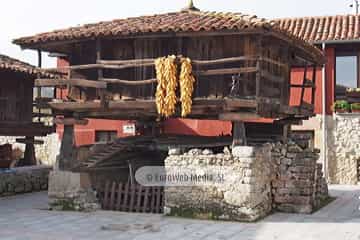 Bueño