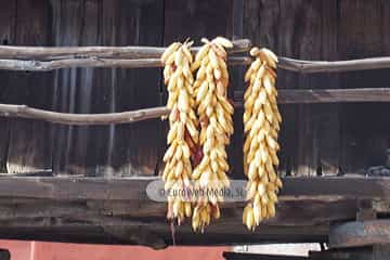 Bueño