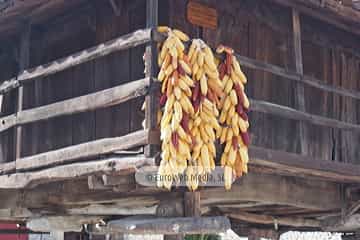 Bueño